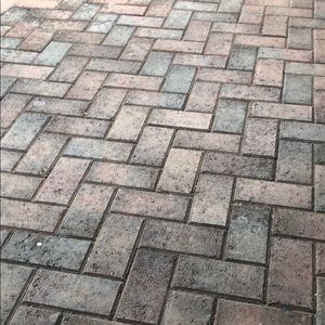 Meet your Posher, Annie